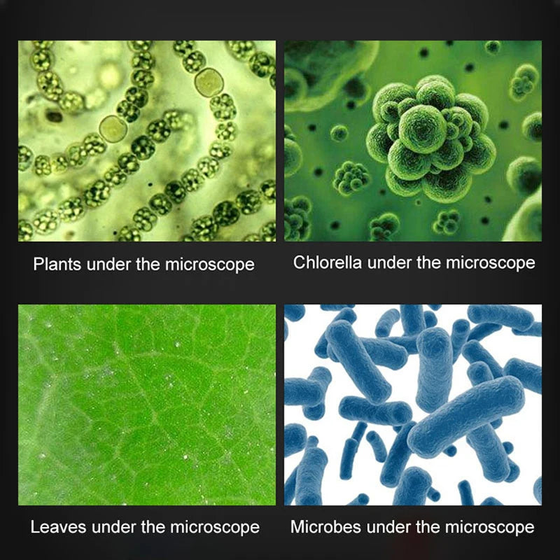 1200X Biological Microscope Kit Lab with LED Microscopio Home School Science Educational Toy Gift Refined Children's Microscope